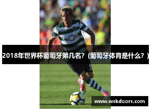 2018年世界杯葡萄牙第几名？(葡萄牙体育是什么？)