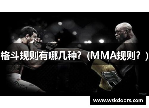 格斗规则有哪几种？(MMA规则？)