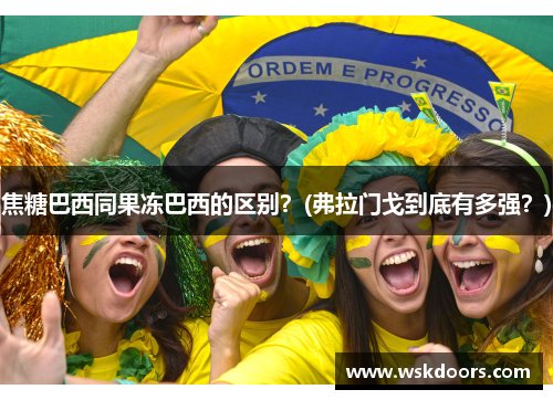 焦糖巴西同果冻巴西的区别？(弗拉门戈到底有多强？)