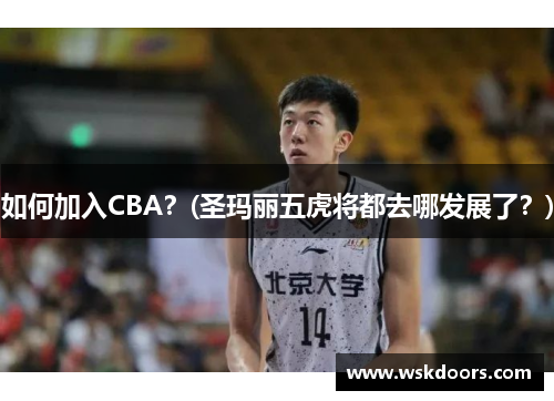 如何加入CBA？(圣玛丽五虎将都去哪发展了？)
