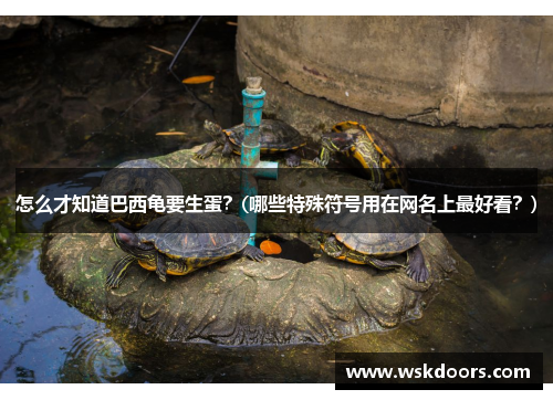 怎么才知道巴西龟要生蛋？(哪些特殊符号用在网名上最好看？)
